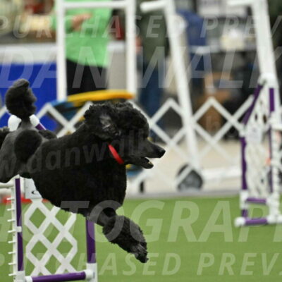 MAS-EX-JWW-24-Inch_3566