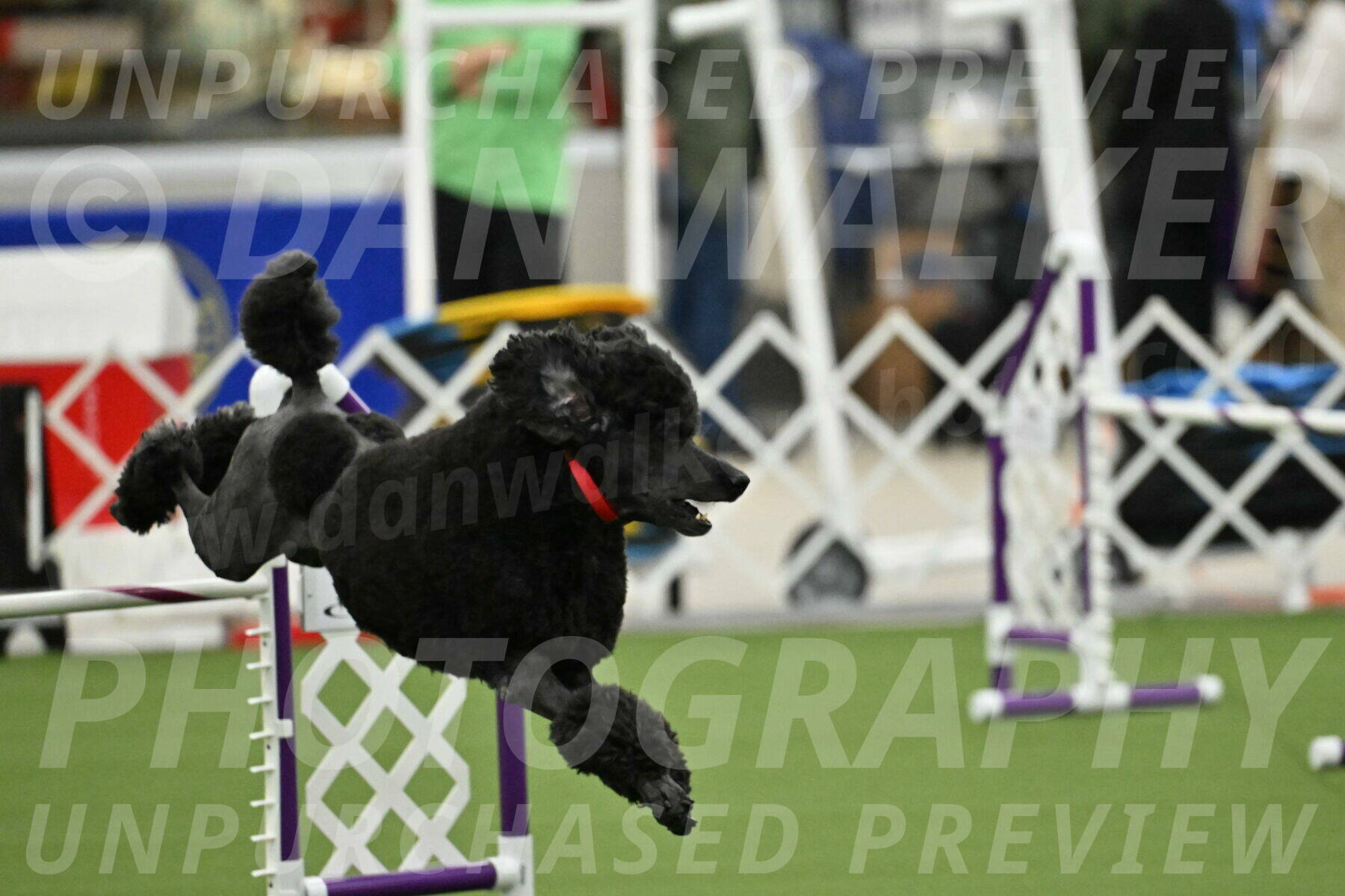 MAS-EX-JWW-24-Inch_3566