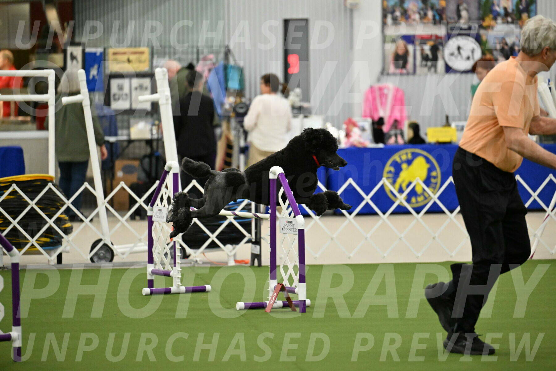 MAS-EX-JWW-24-Inch_3567