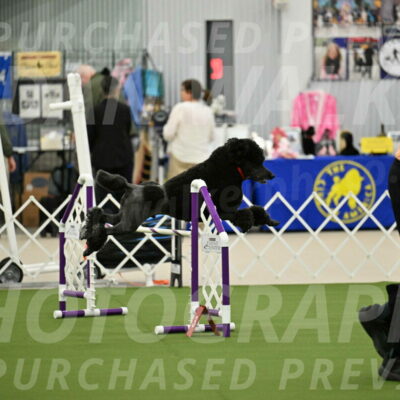 MAS-EX-JWW-24-Inch_3567