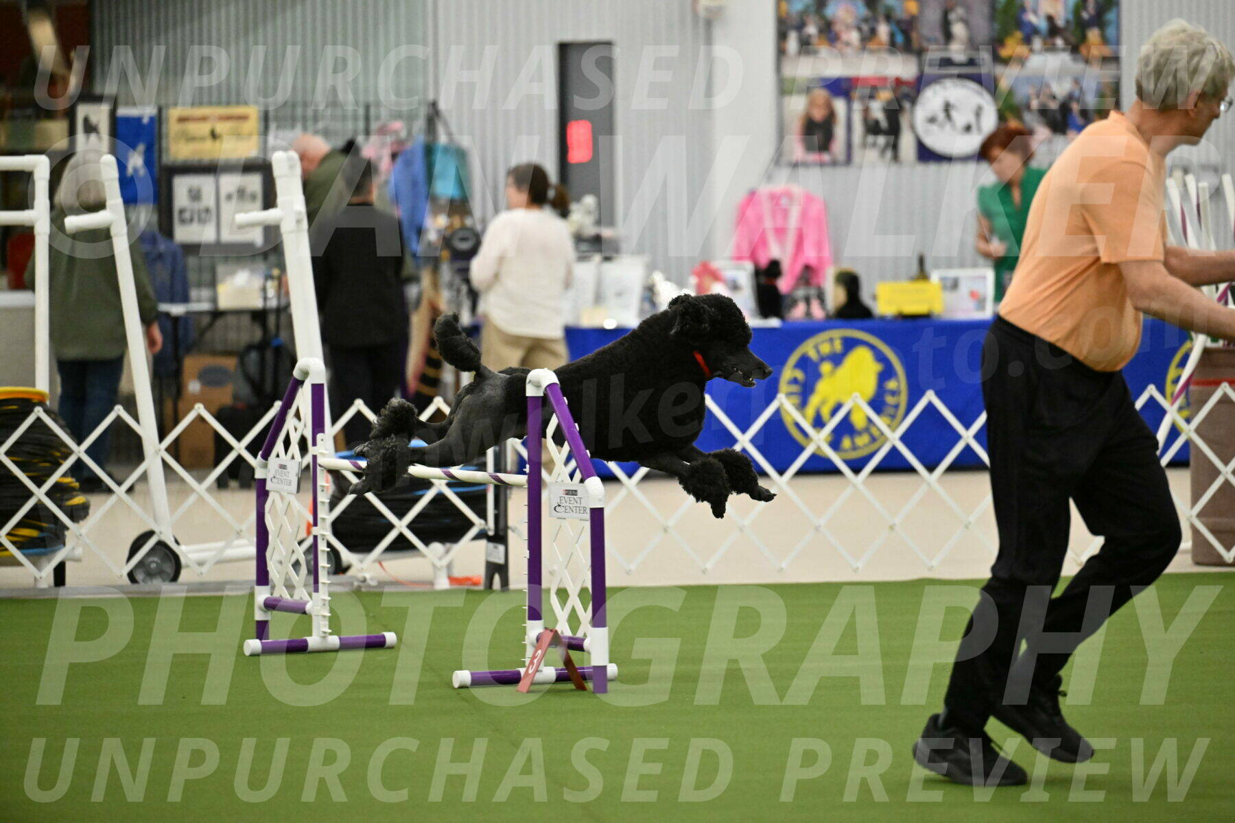 MAS-EX-JWW-24-Inch_3568