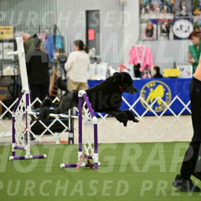 MAS-EX-JWW-24-Inch_3568