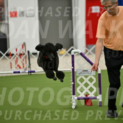 MAS-EX-JWW-24-Inch_3572