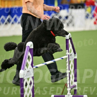 MAS-EX-JWW-24-Inch_3574