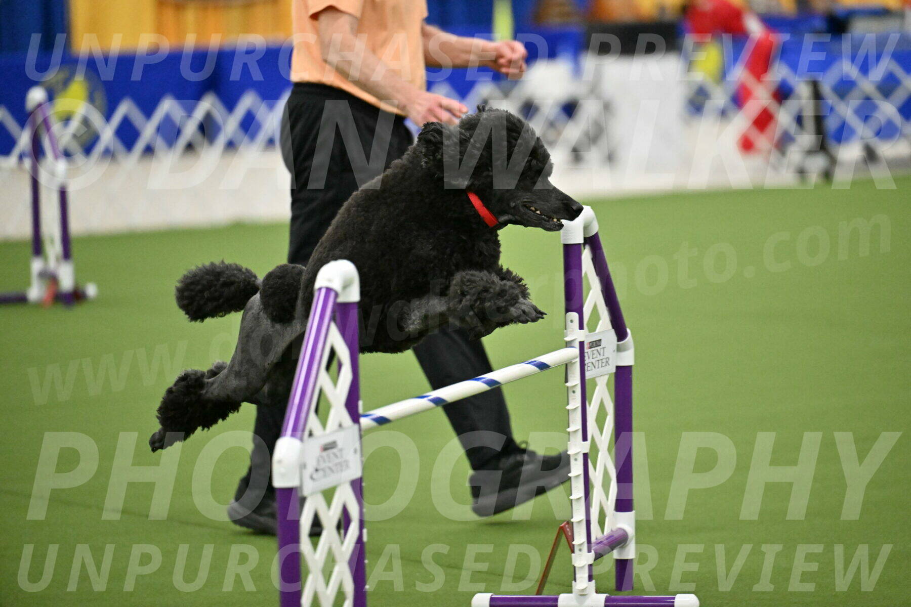 MAS-EX-JWW-24-Inch_3574