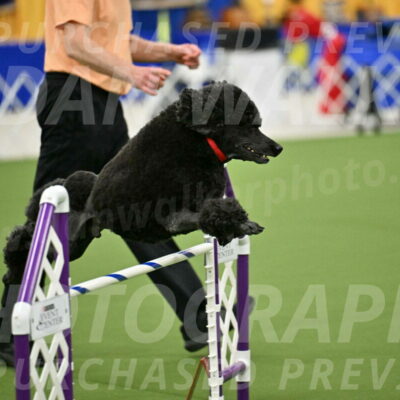 MAS-EX-JWW-24-Inch_3575