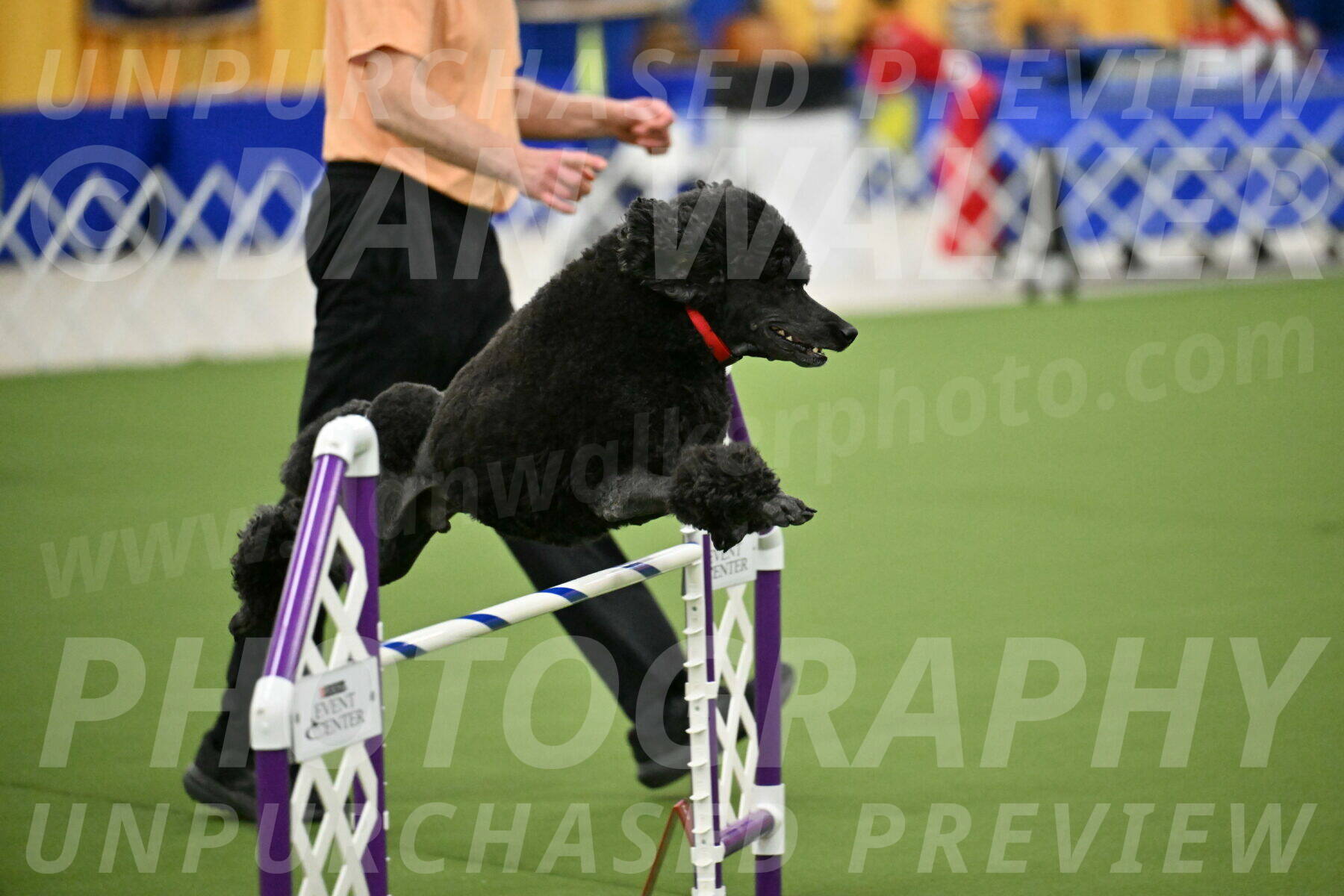 MAS-EX-JWW-24-Inch_3575