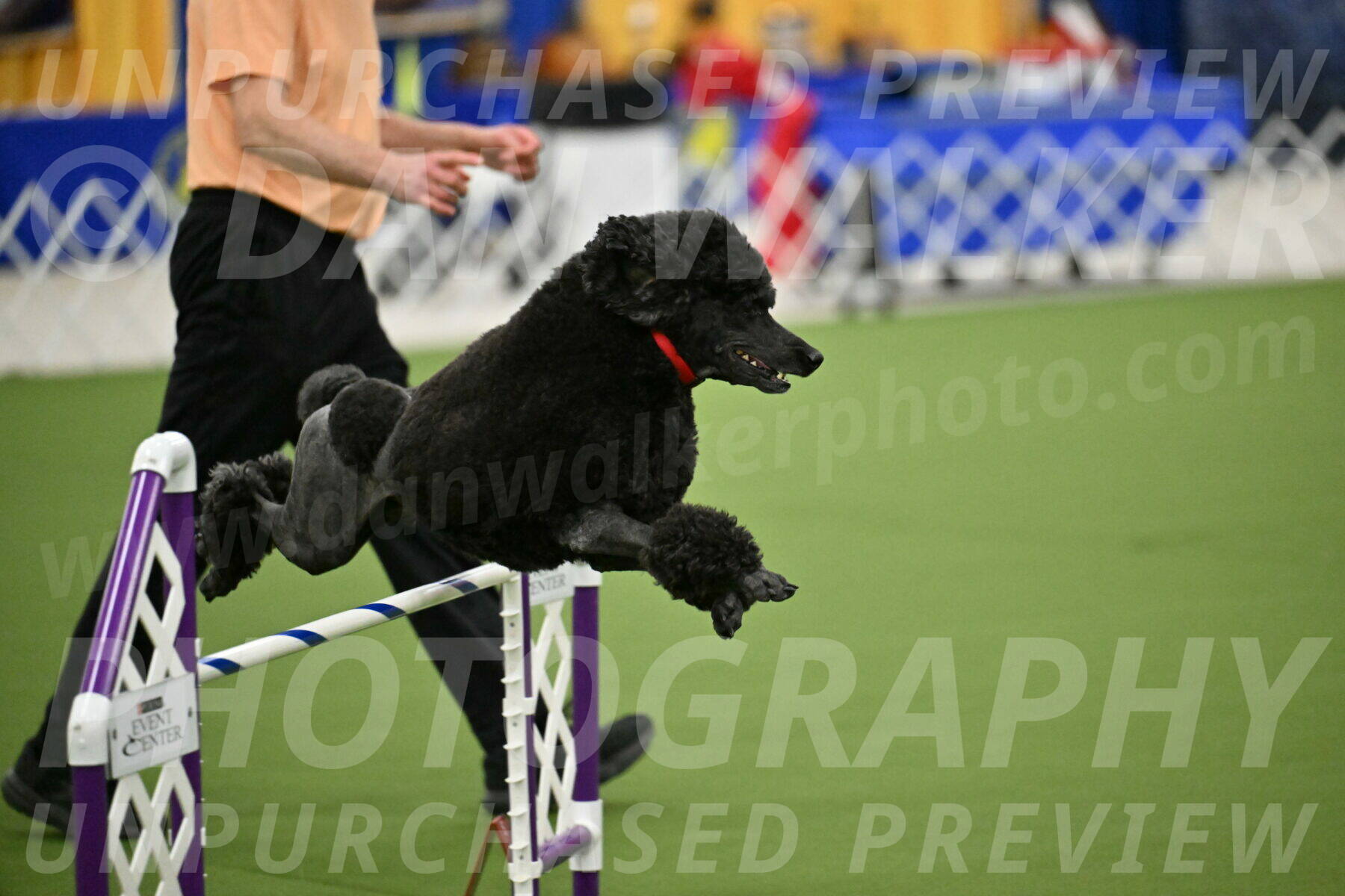 MAS-EX-JWW-24-Inch_3576