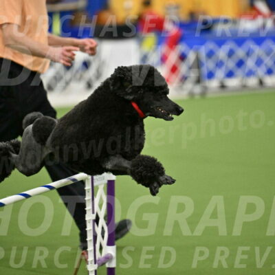 MAS-EX-JWW-24-Inch_3576