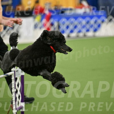 MAS-EX-JWW-24-Inch_3577