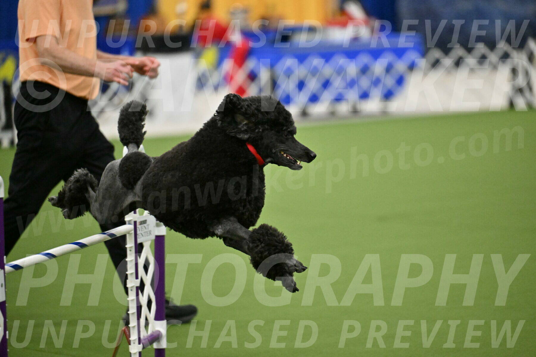 MAS-EX-JWW-24-Inch_3577