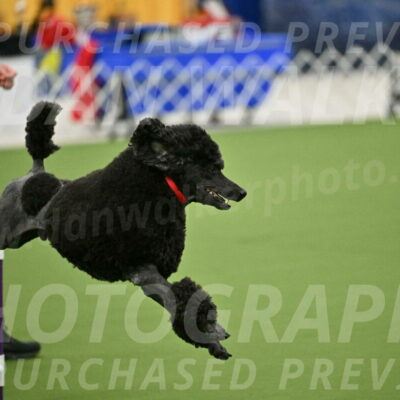 MAS-EX-JWW-24-Inch_3578