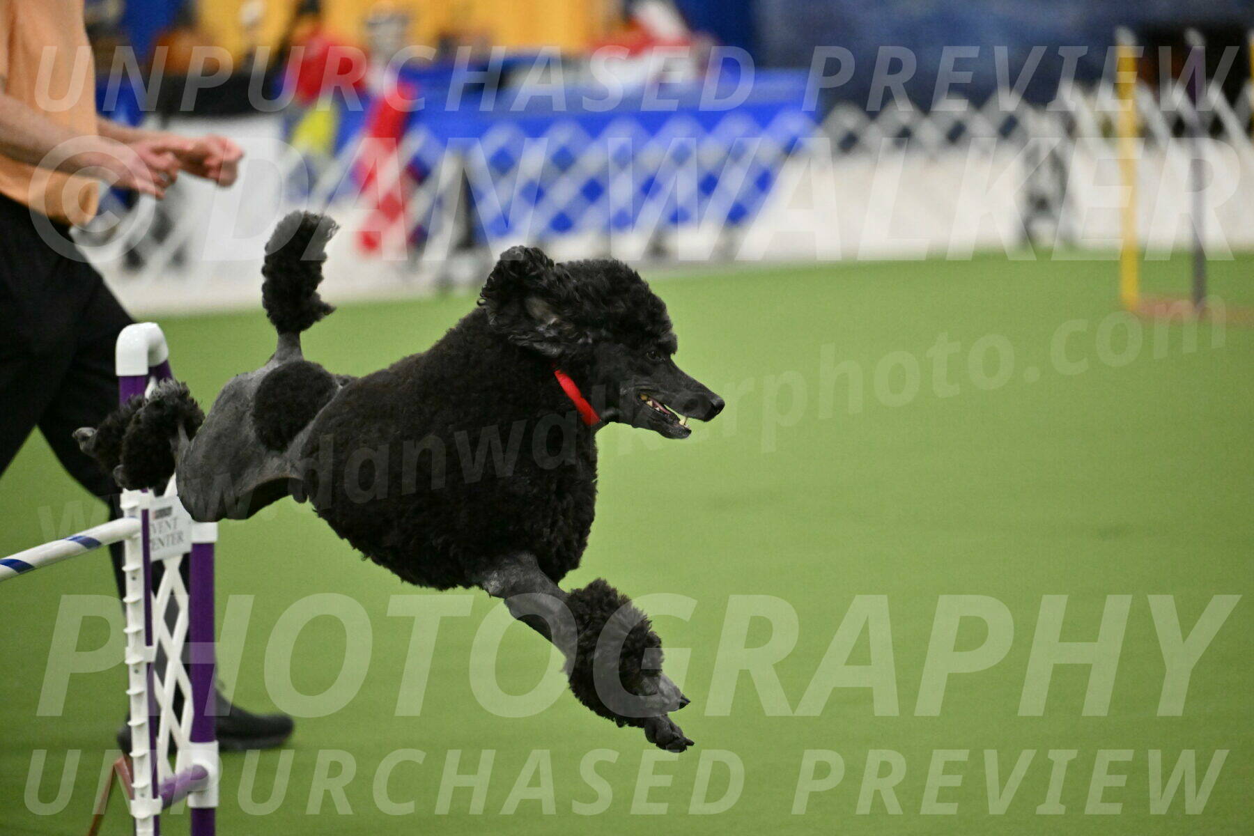 MAS-EX-JWW-24-Inch_3578