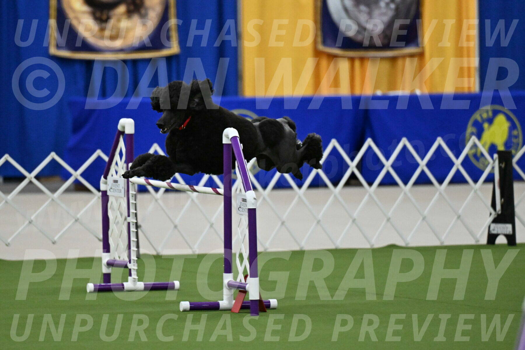 MAS-EX-JWW-24-Inch_3579