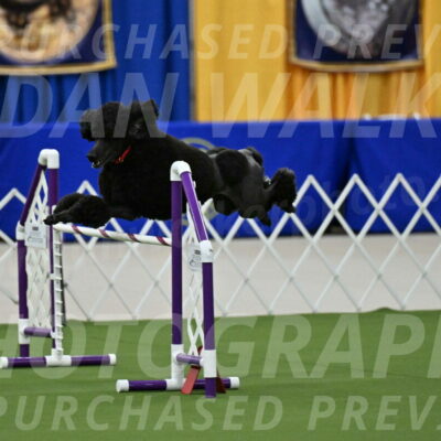 MAS-EX-JWW-24-Inch_3579