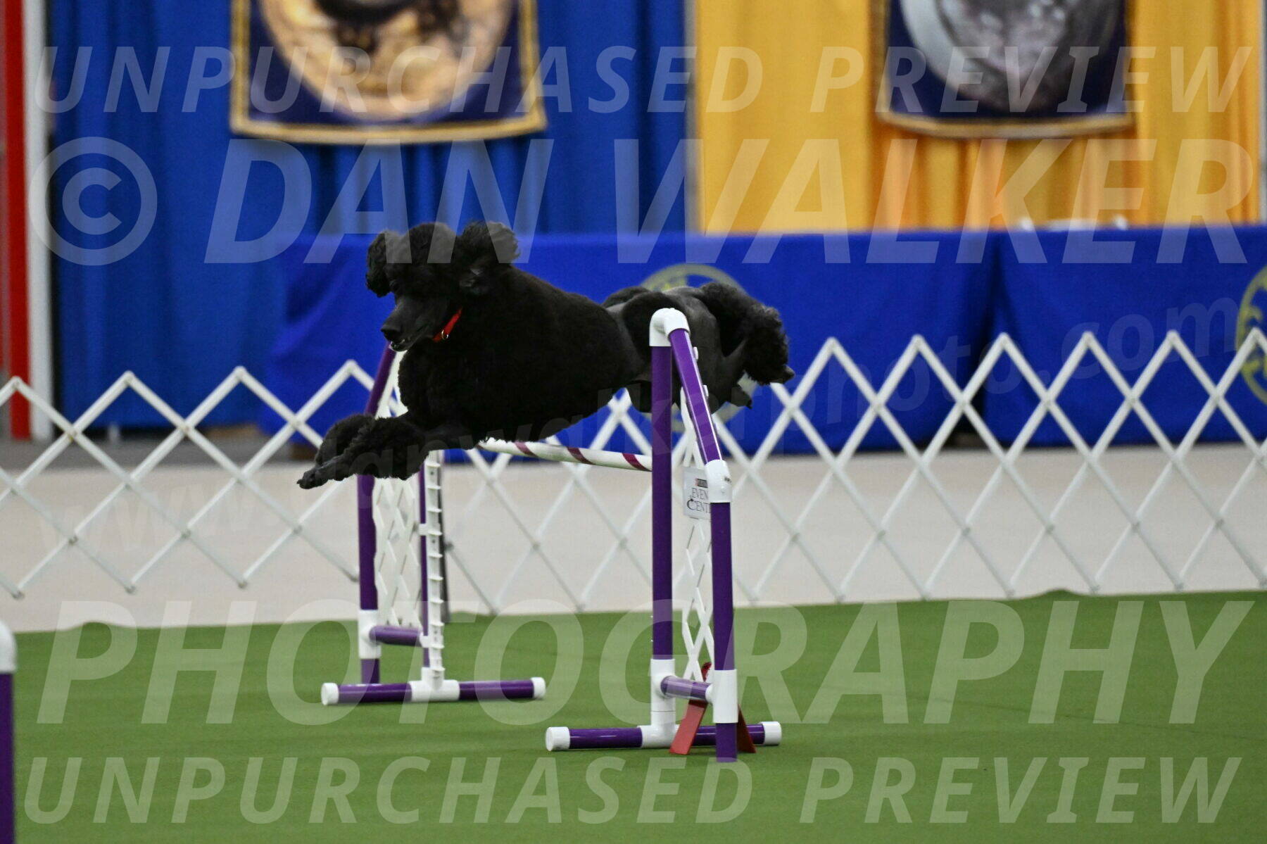 MAS-EX-JWW-24-Inch_3580