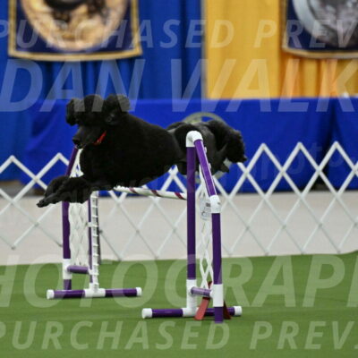 MAS-EX-JWW-24-Inch_3580