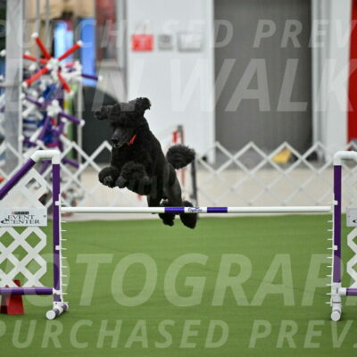 MAS-EX-JWW-24-Inch_3583