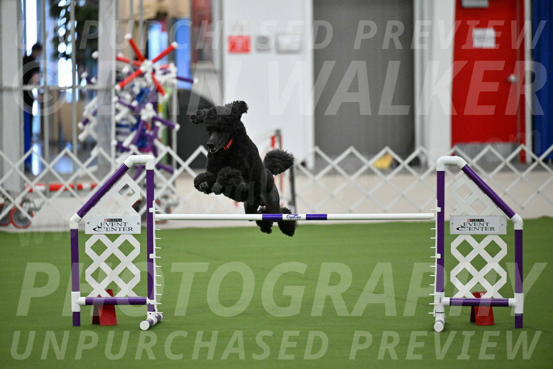 MAS-EX-JWW-24-Inch_3583