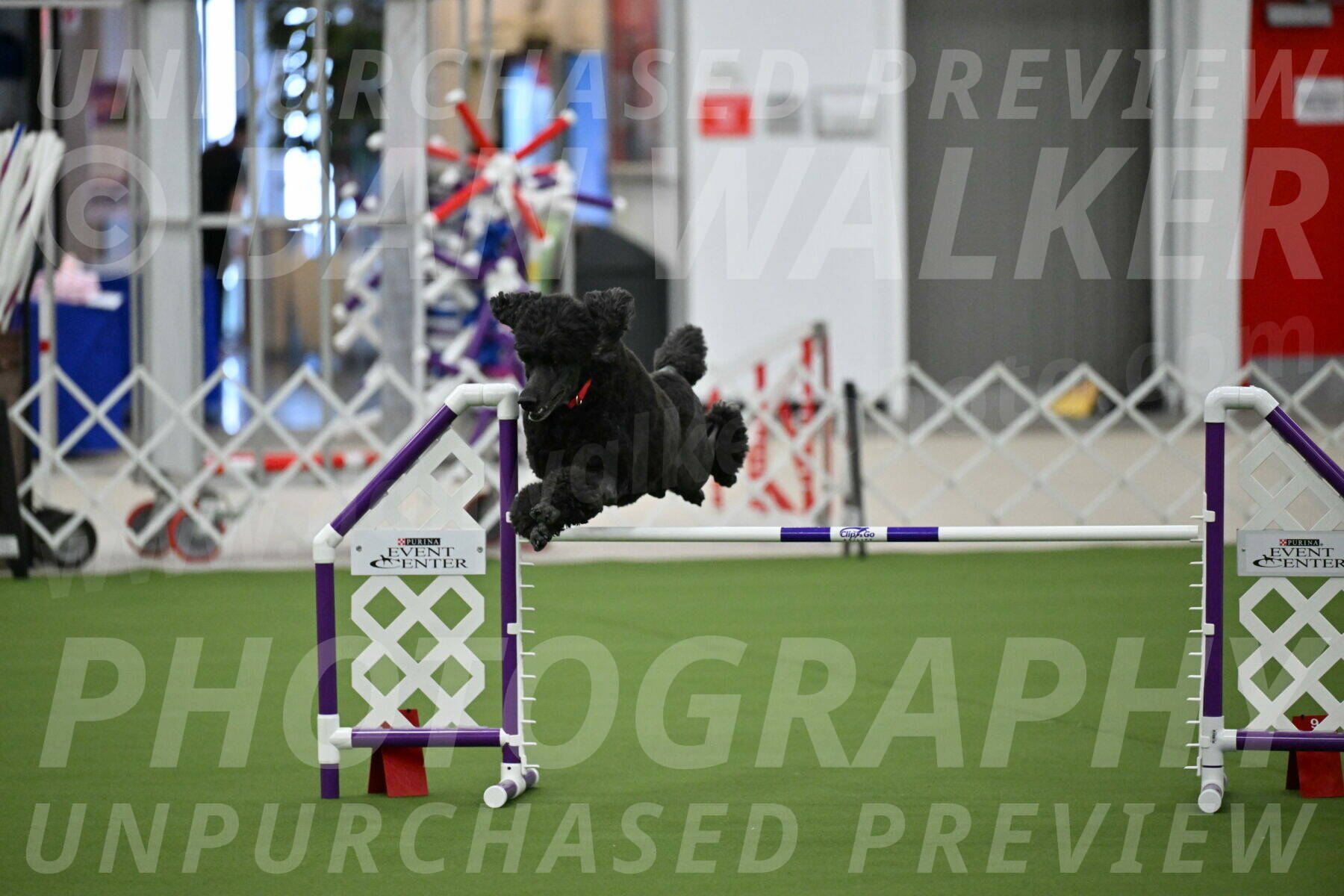 MAS-EX-JWW-24-Inch_3586