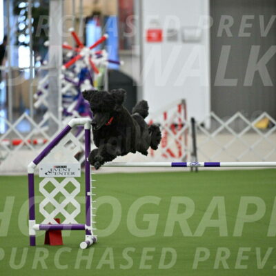 MAS-EX-JWW-24-Inch_3586