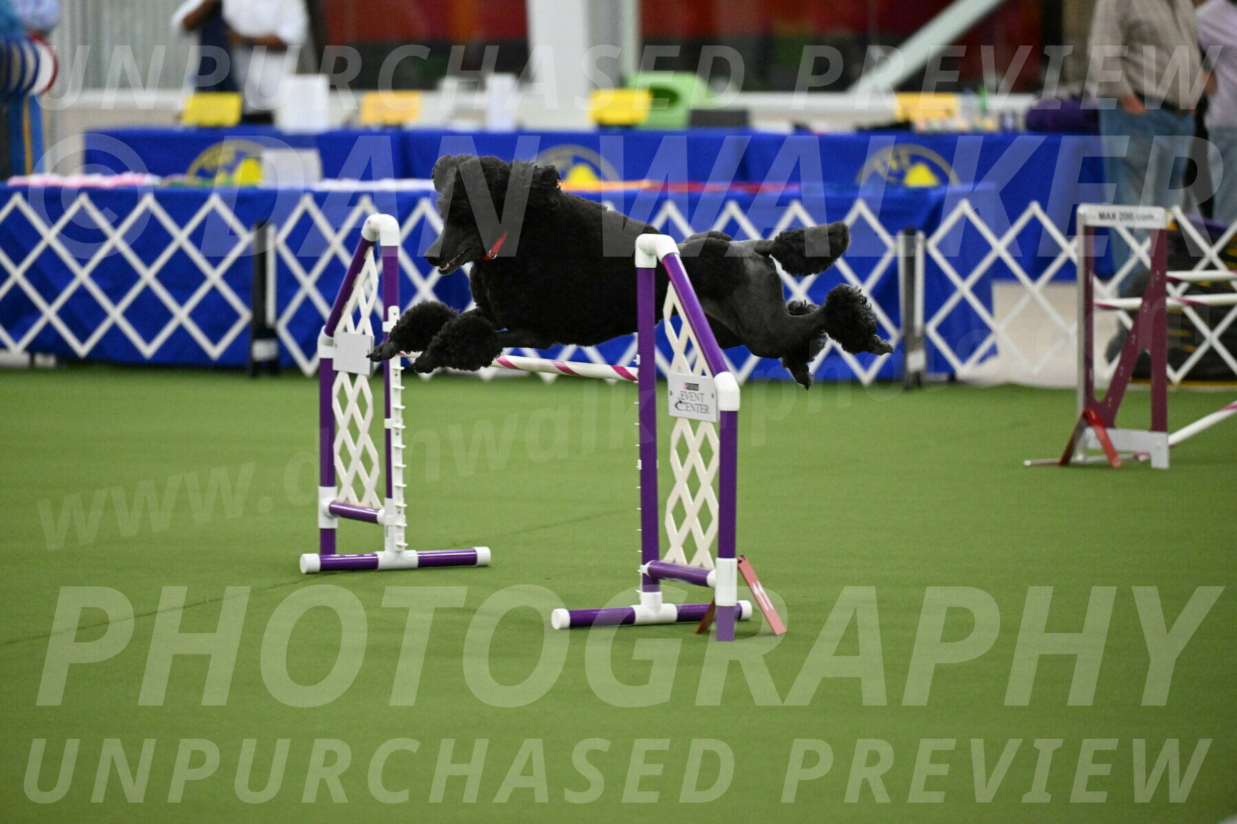 MAS-EX-JWW-24-Inch_3587