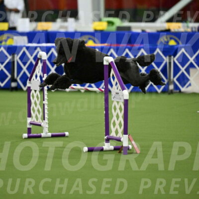 MAS-EX-JWW-24-Inch_3587