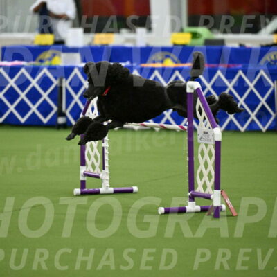 MAS-EX-JWW-24-Inch_3588