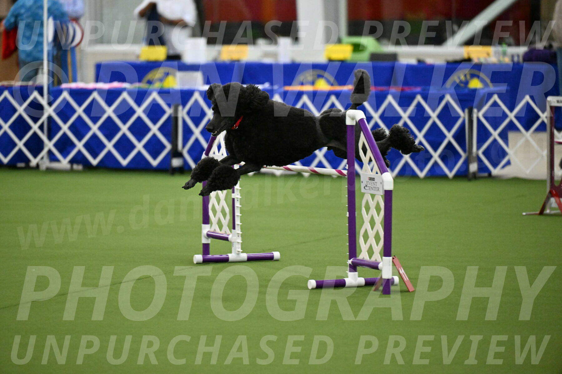 MAS-EX-JWW-24-Inch_3588