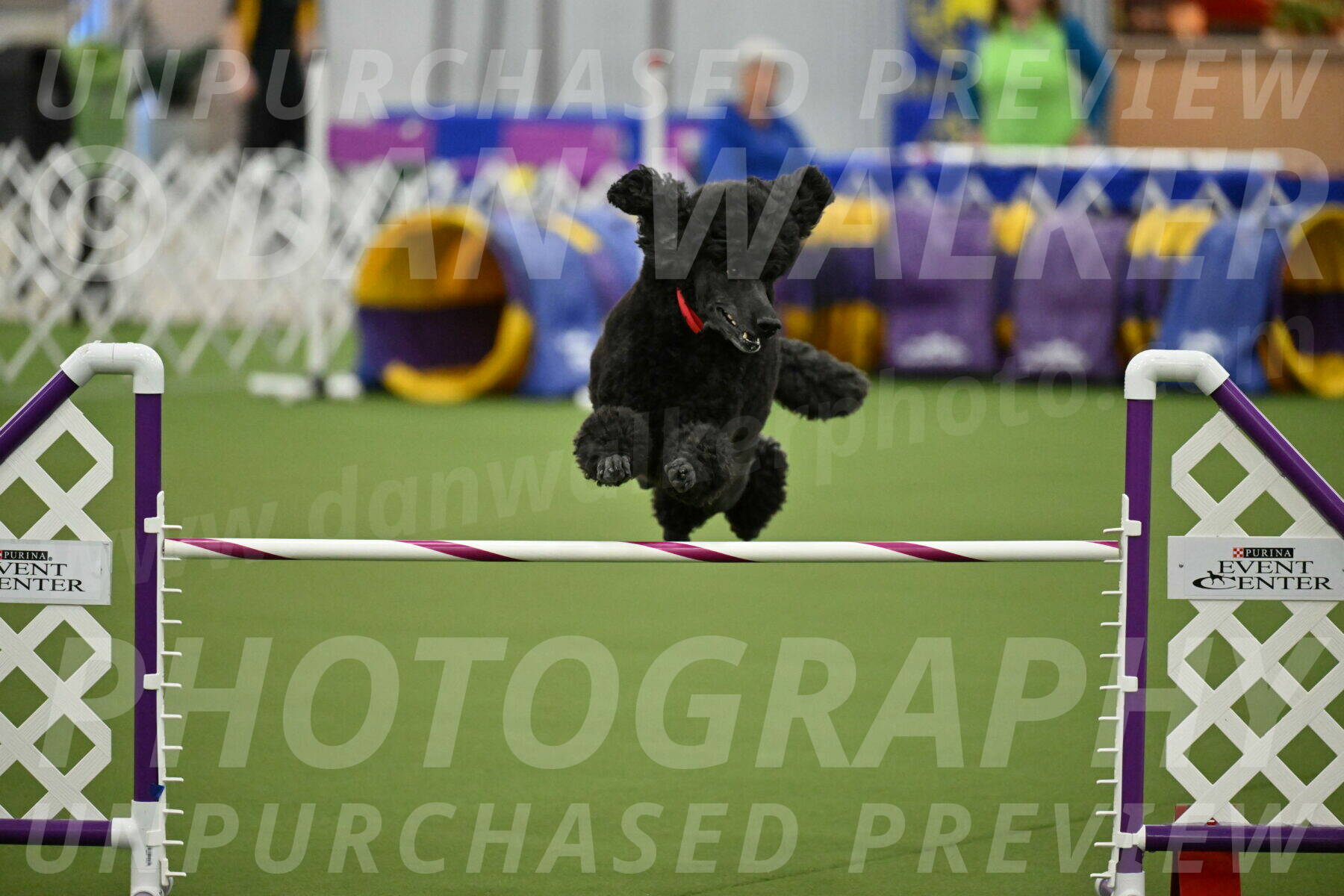 MAS-EX-JWW-24-Inch_3591