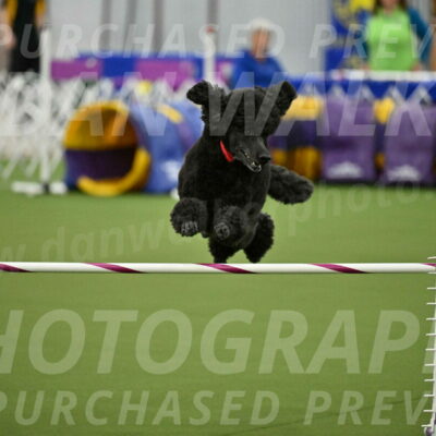 MAS-EX-JWW-24-Inch_3591