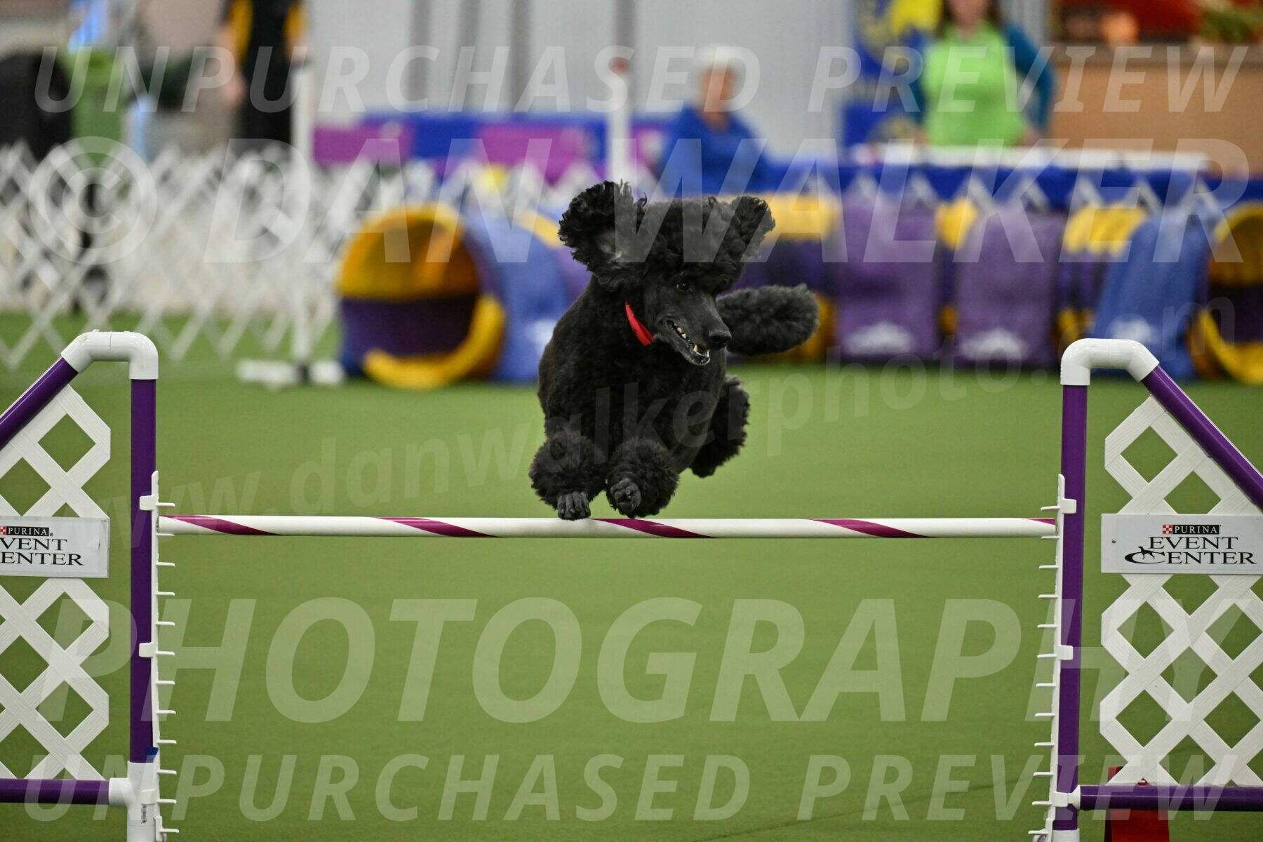 MAS-EX-JWW-24-Inch_3592