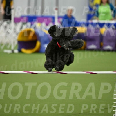 MAS-EX-JWW-24-Inch_3592