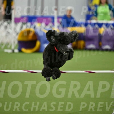 MAS-EX-JWW-24-Inch_3593