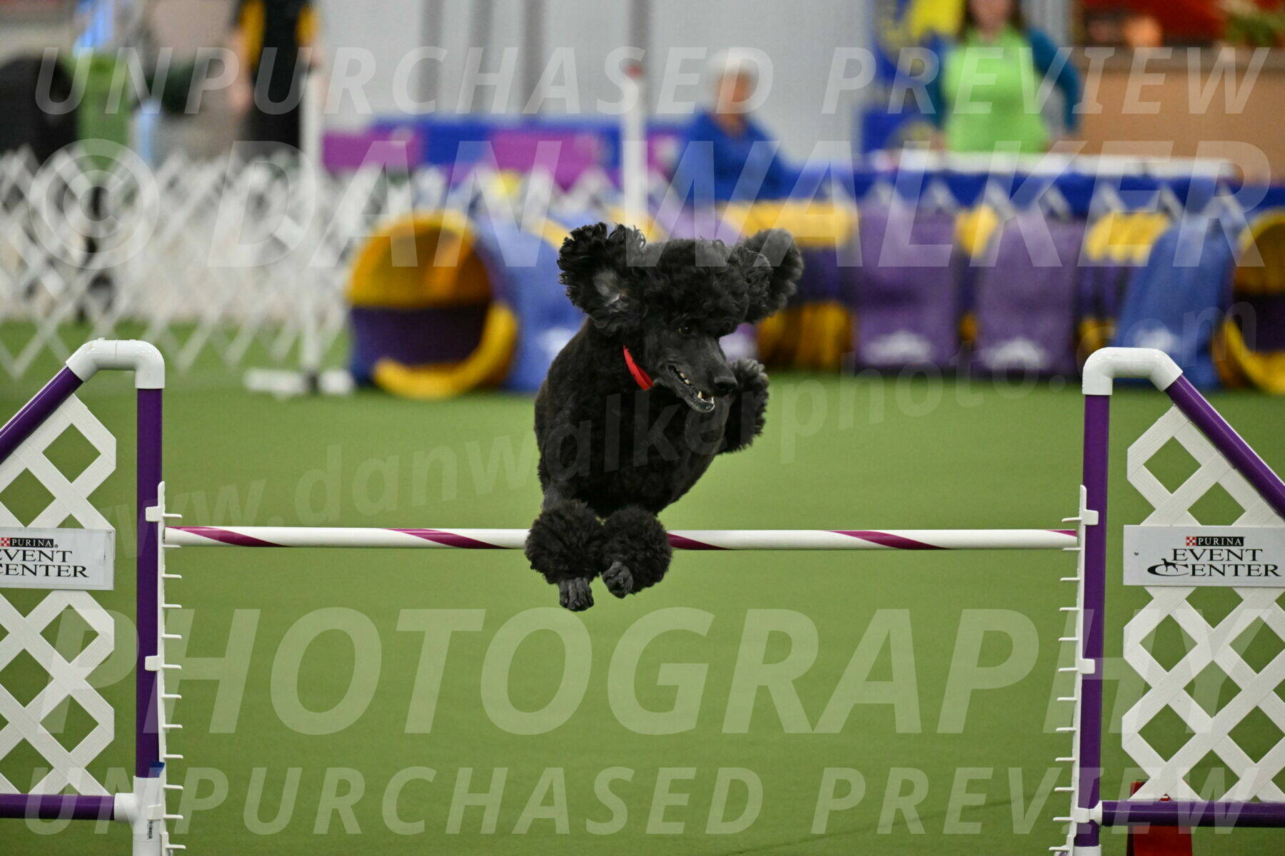 MAS-EX-JWW-24-Inch_3593