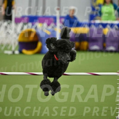 MAS-EX-JWW-24-Inch_3594