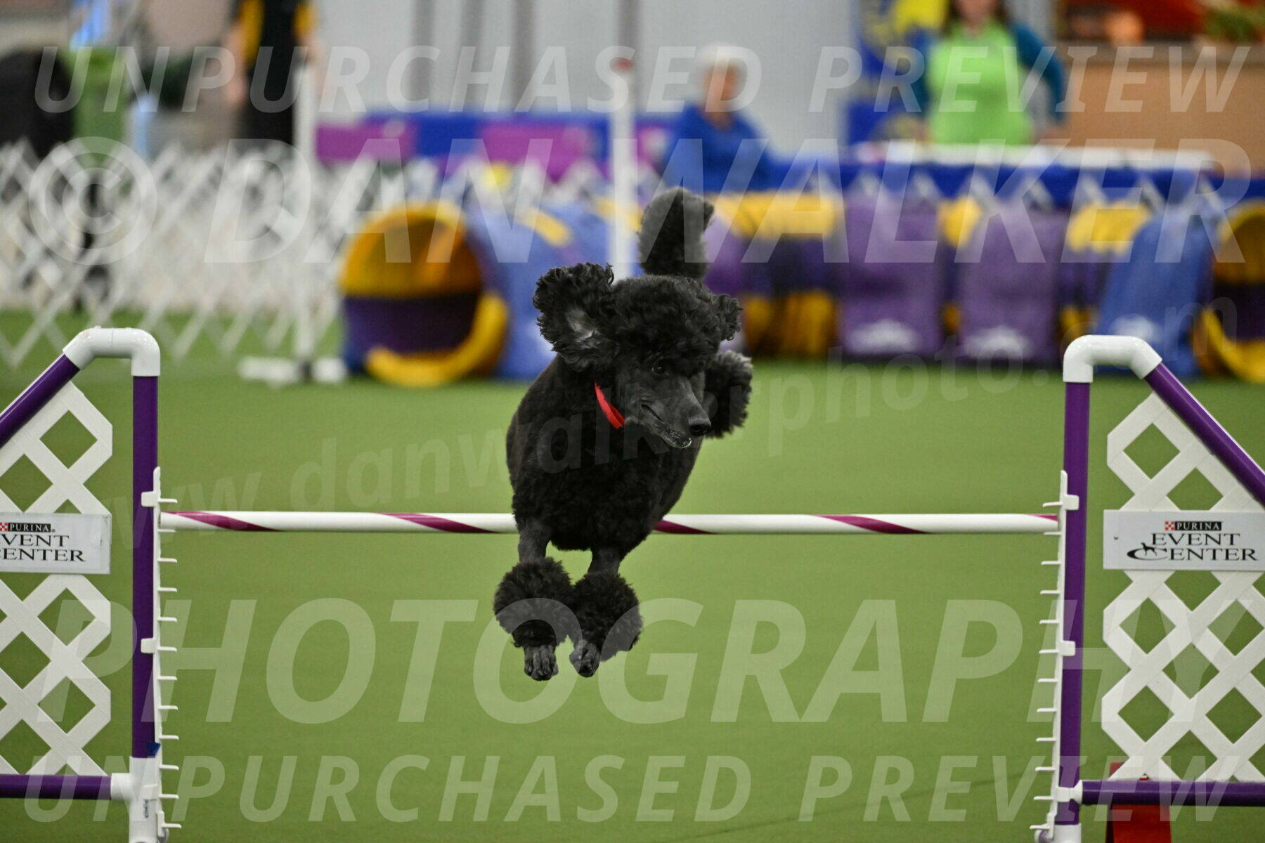 MAS-EX-JWW-24-Inch_3594