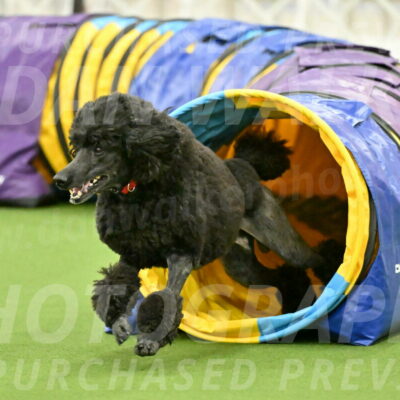 MAS-EX-JWW-24-Inch_3595