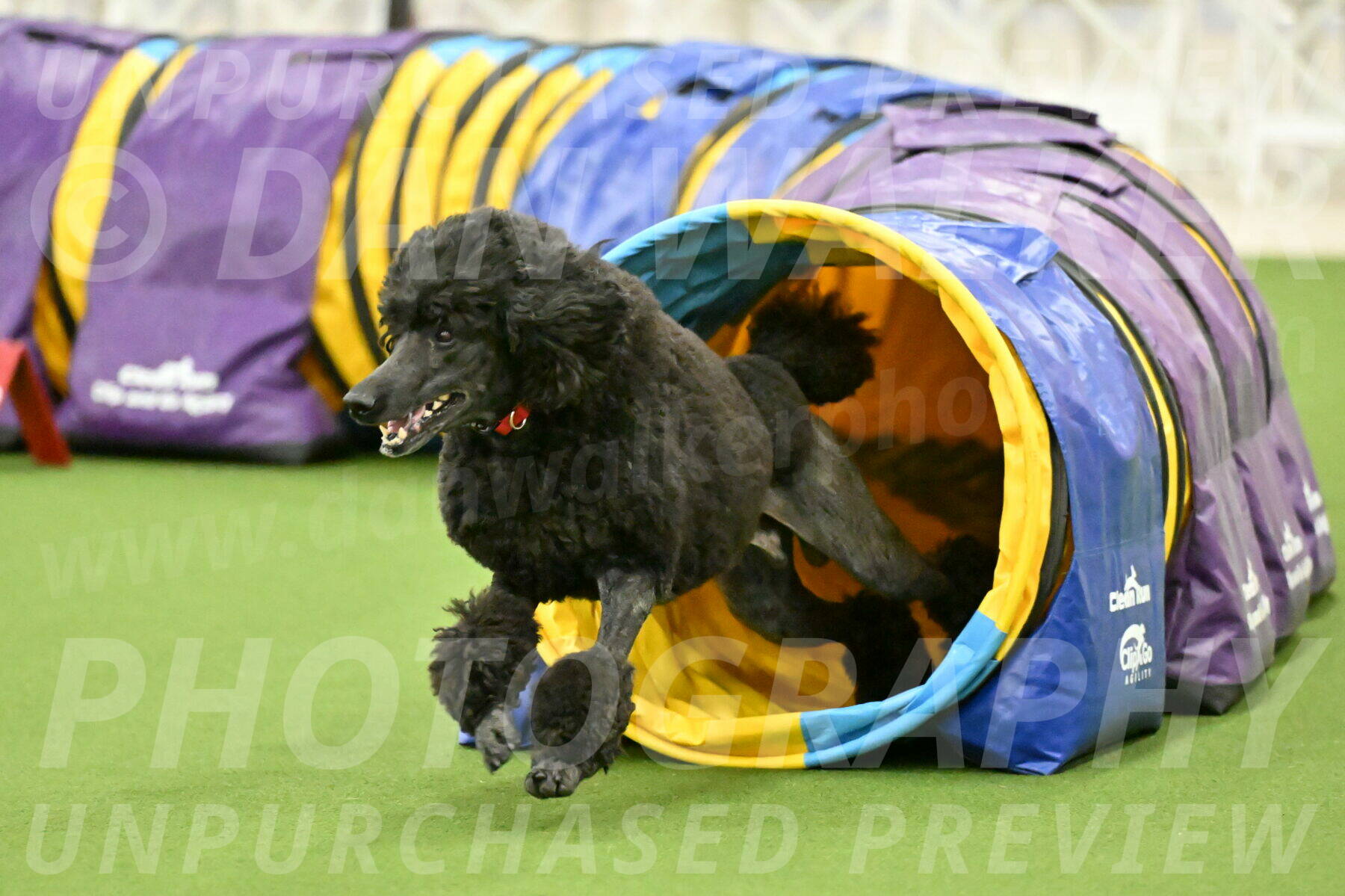 MAS-EX-JWW-24-Inch_3595