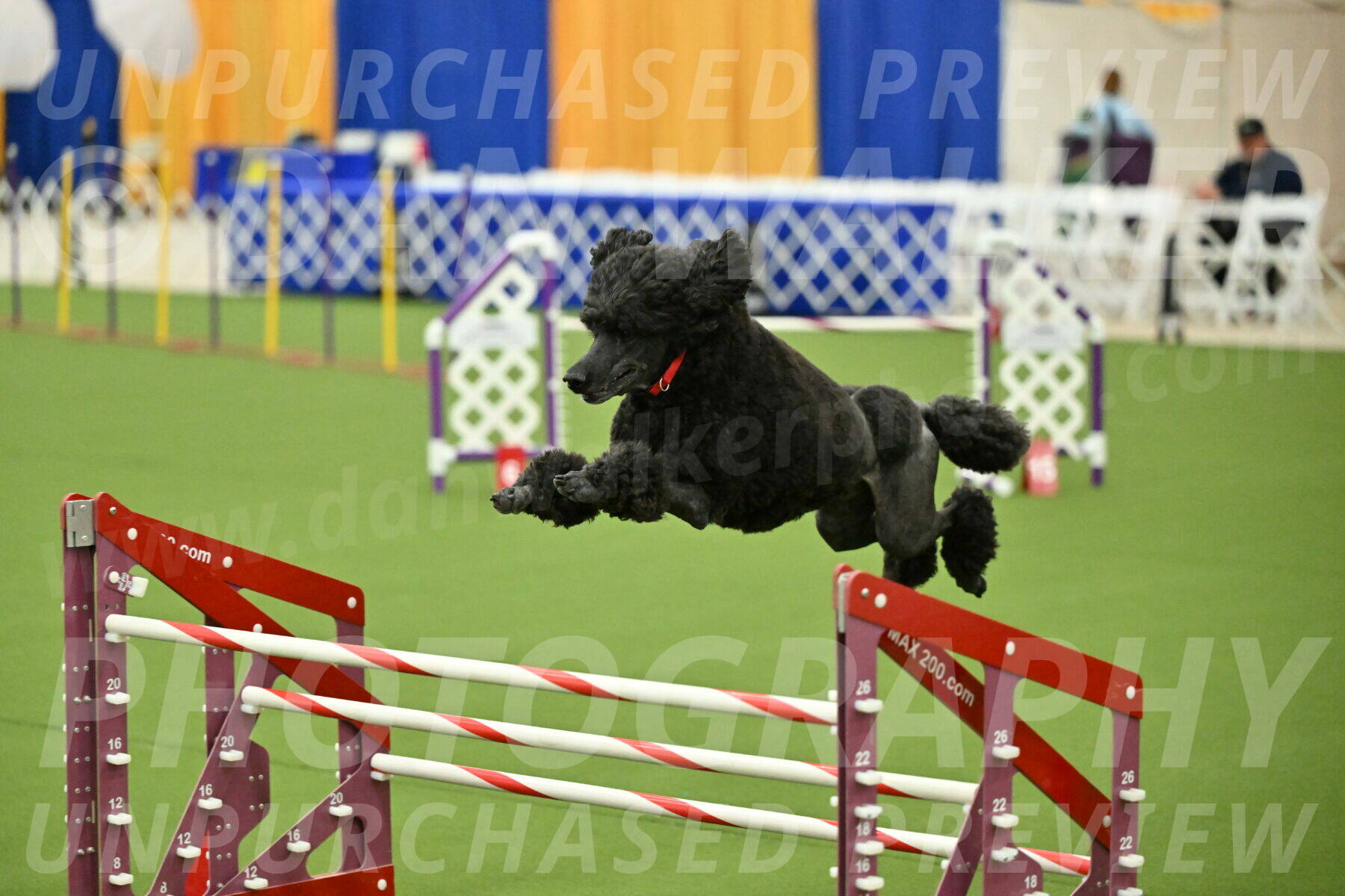 MAS-EX-JWW-24-Inch_3606