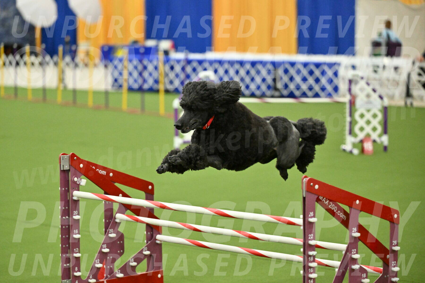 MAS-EX-JWW-24-Inch_3607