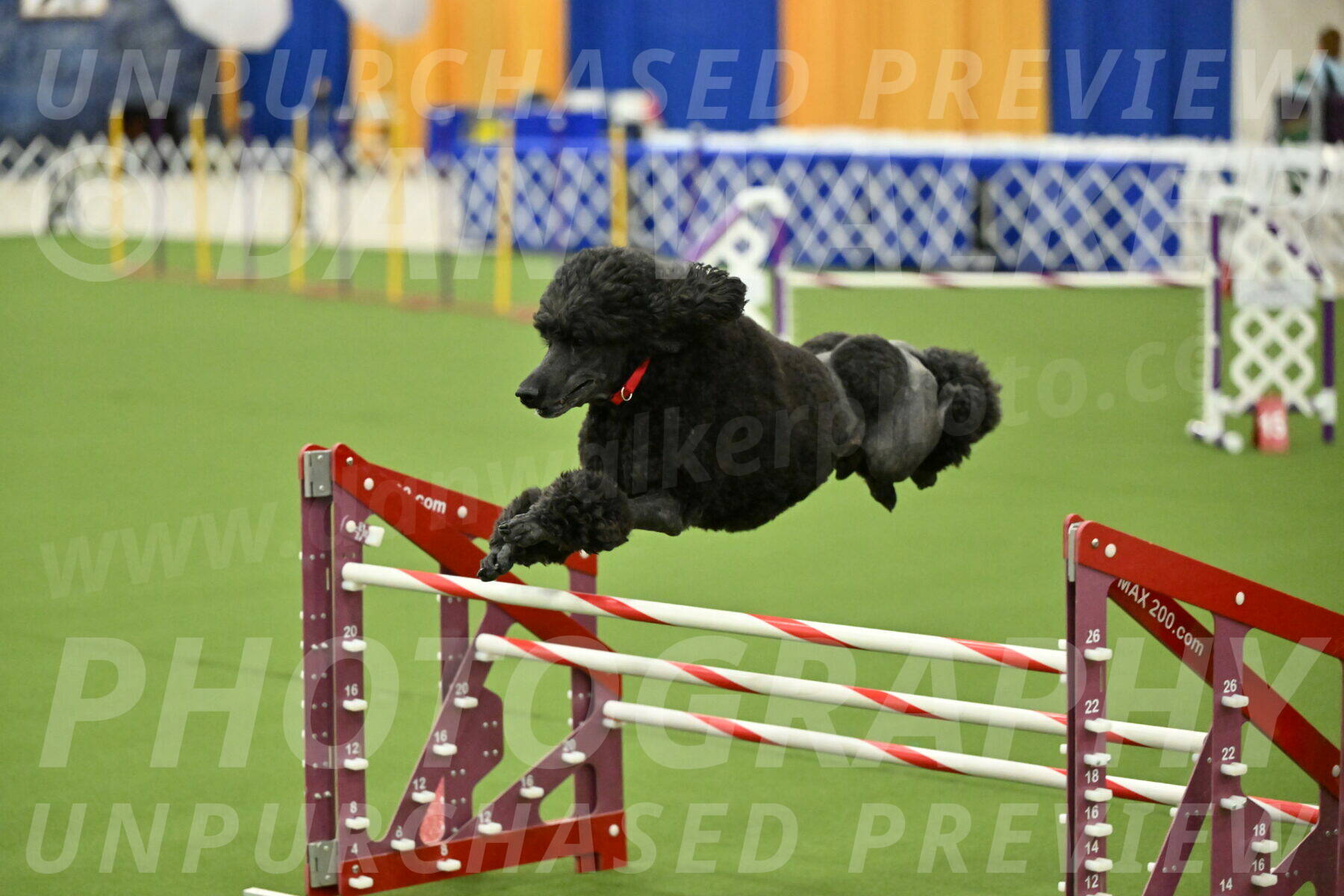 MAS-EX-JWW-24-Inch_3608