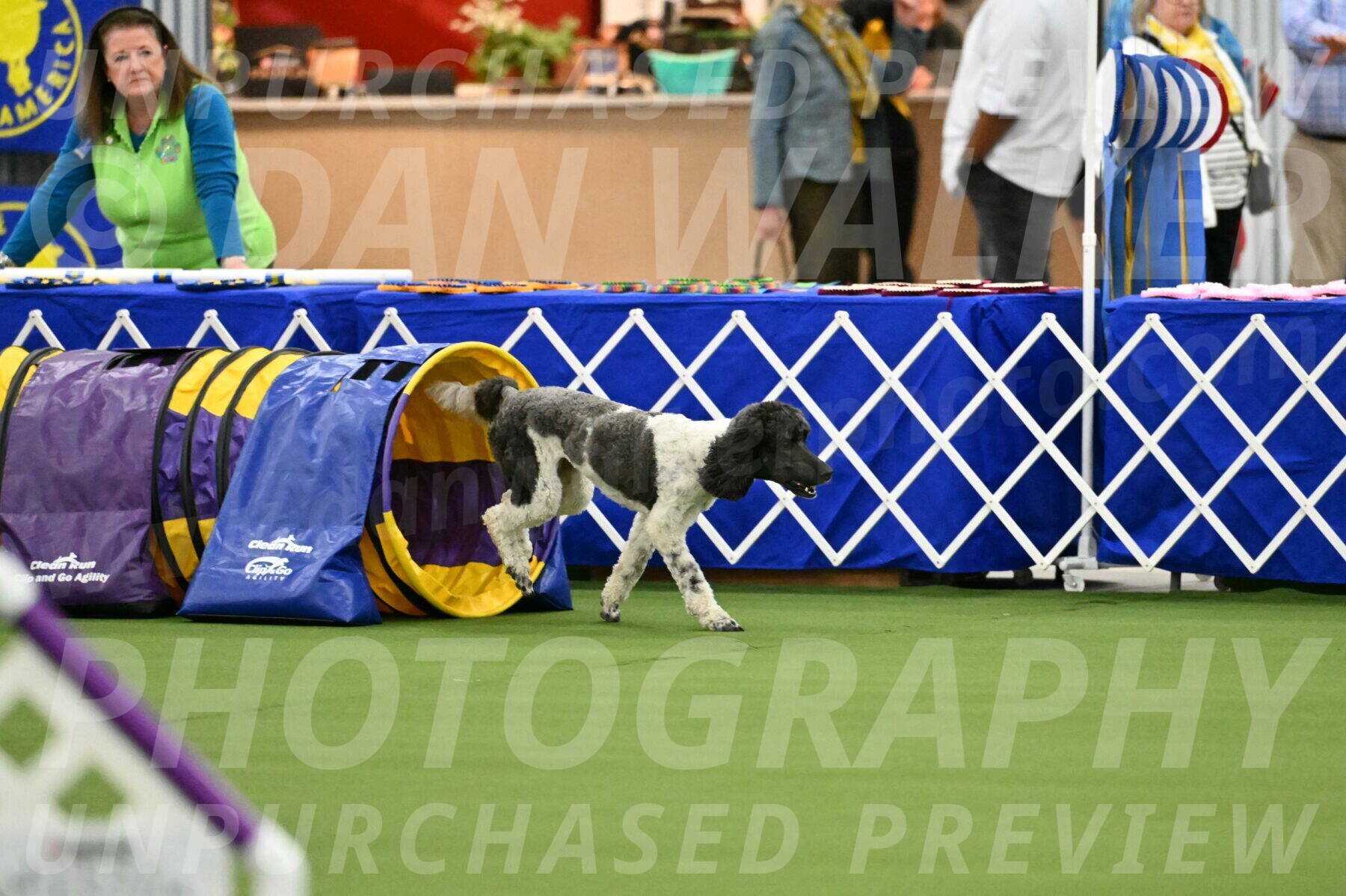 MAS-EX-JWW-24-Inch_3611