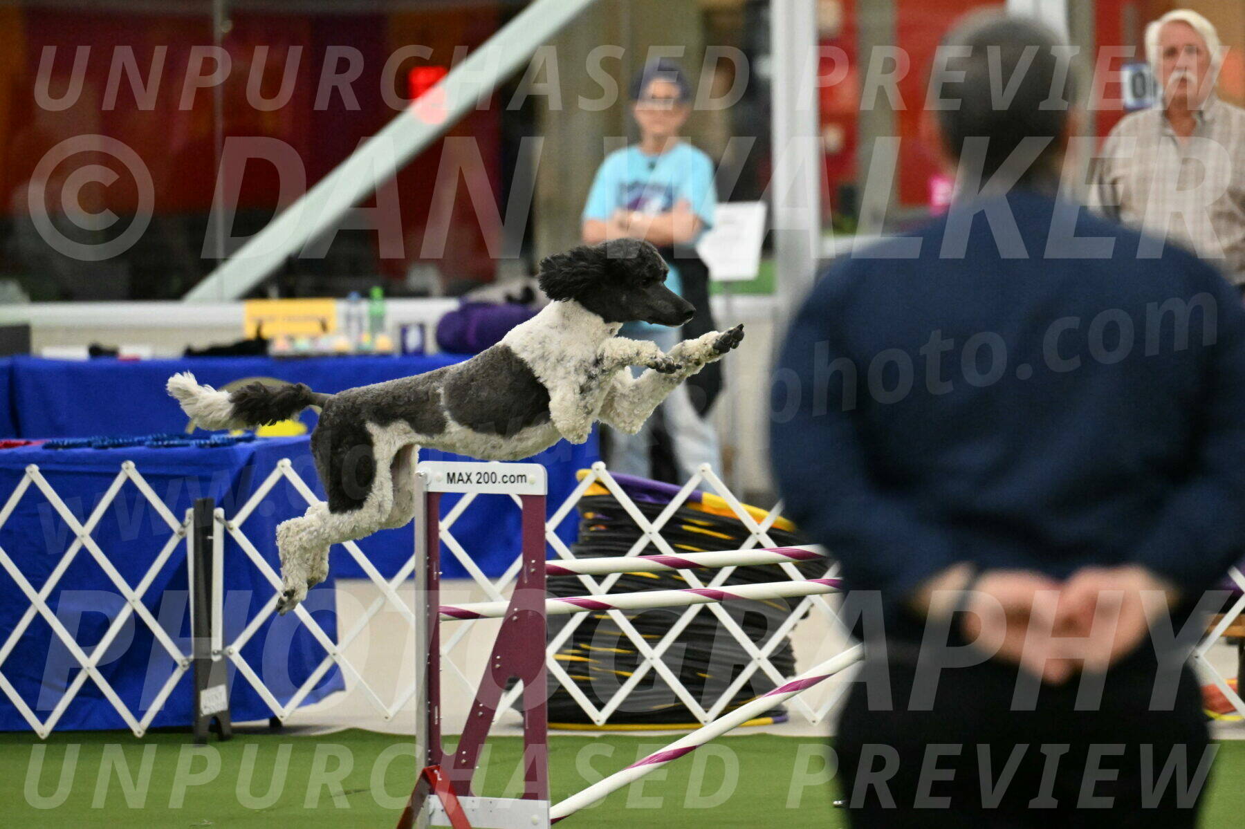 MAS-EX-JWW-24-Inch_3612