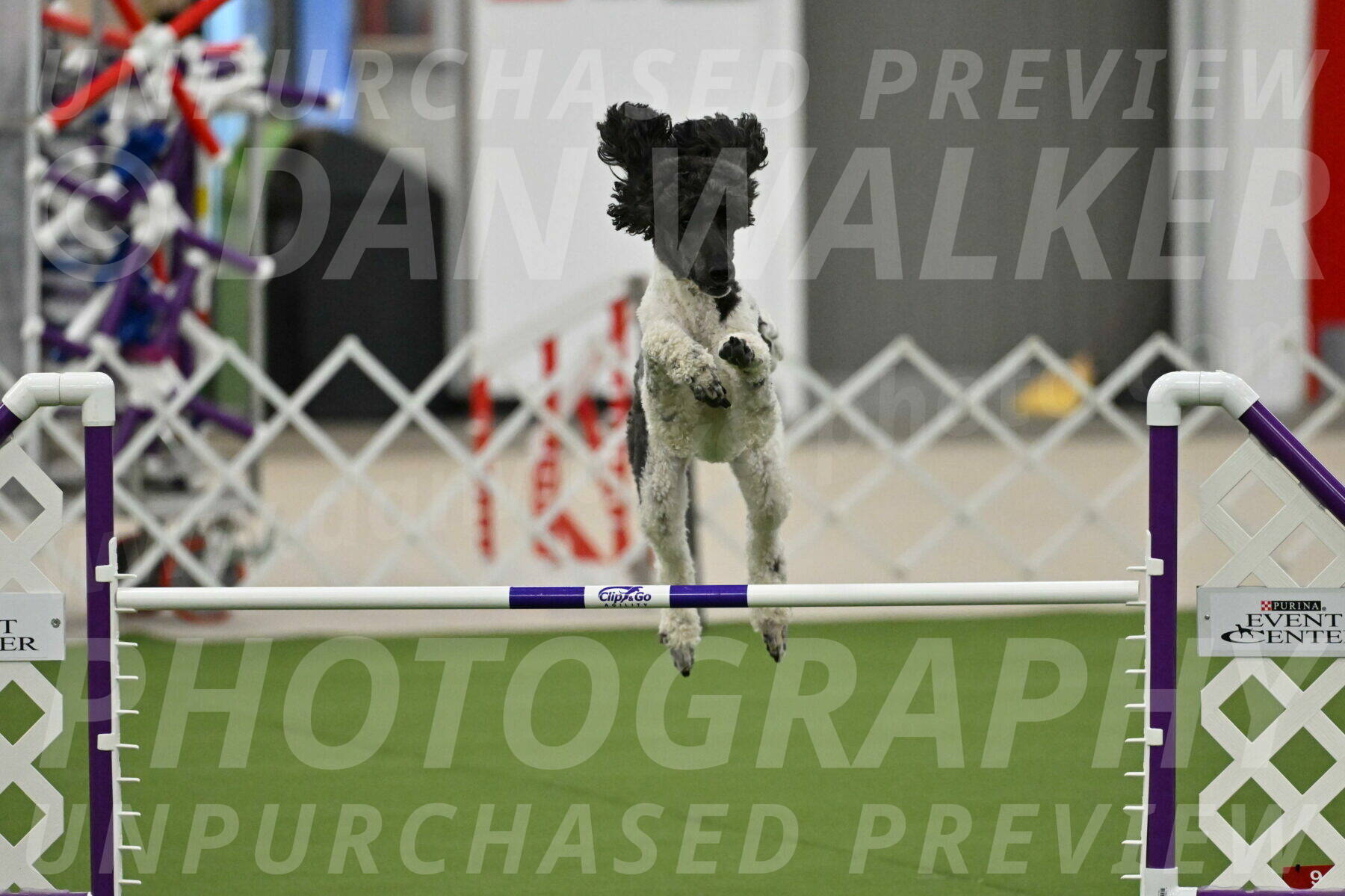 MAS-EX-JWW-24-Inch_3618