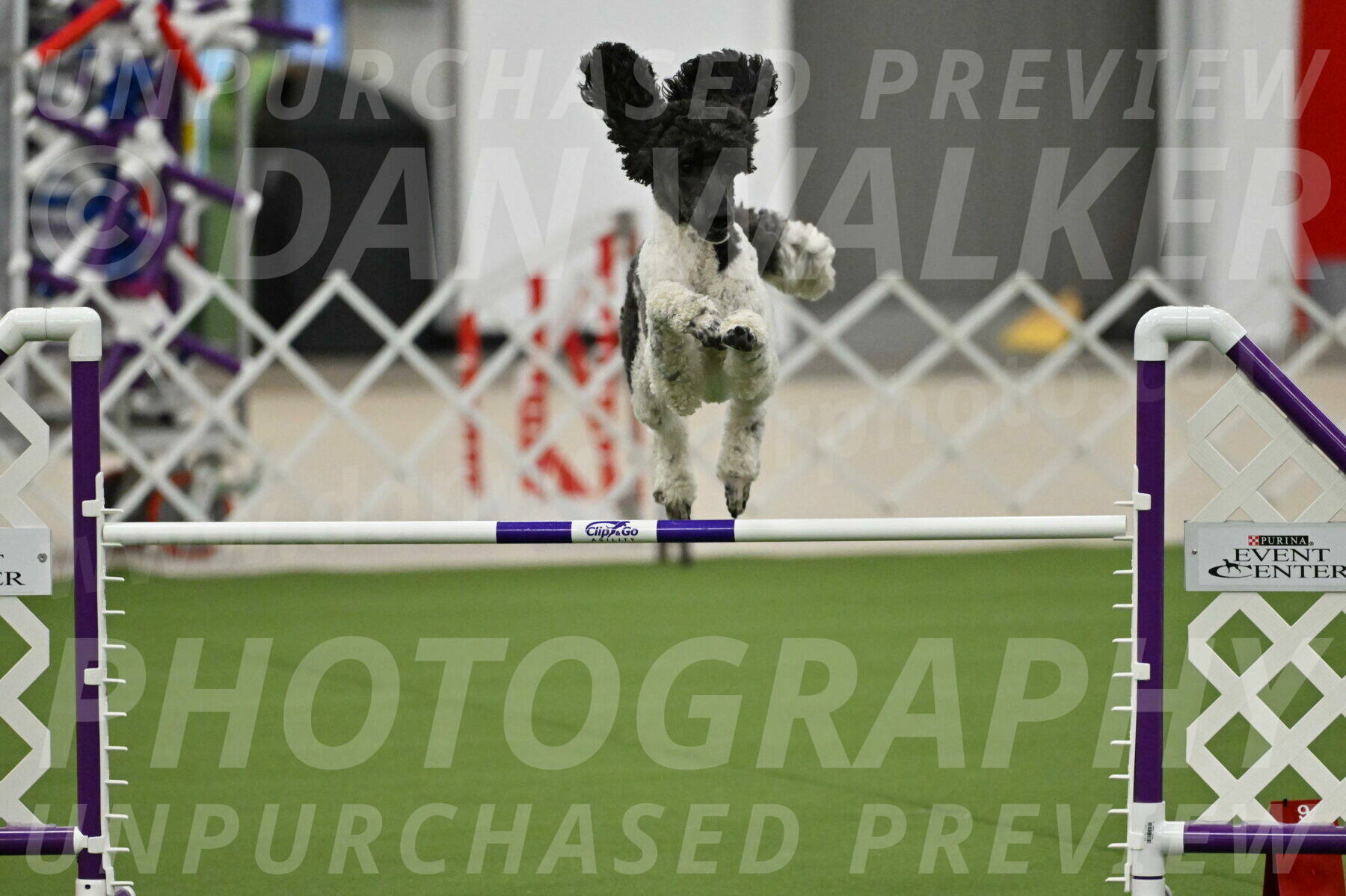 MAS-EX-JWW-24-Inch_3619