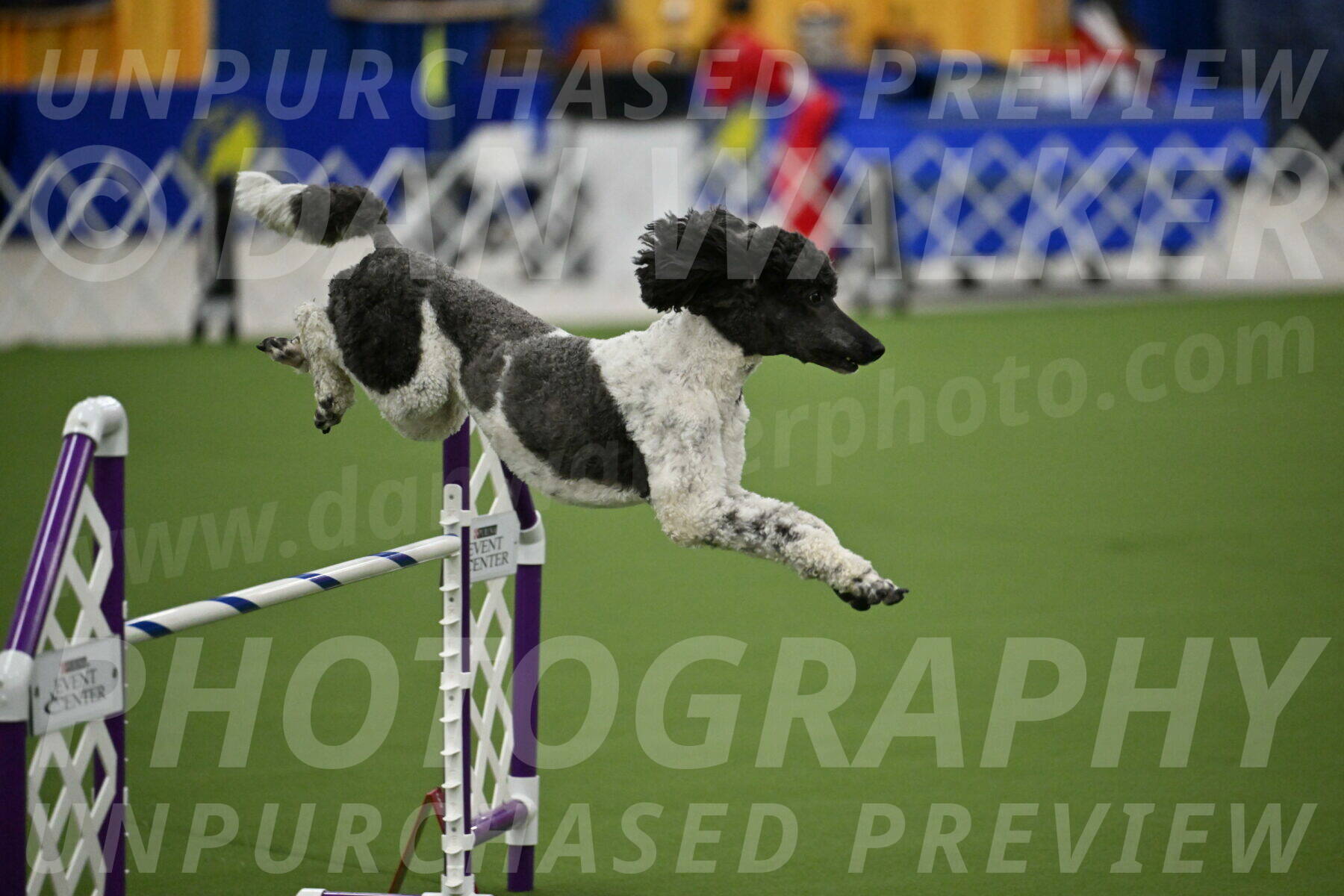 MAS-EX-JWW-24-Inch_3625