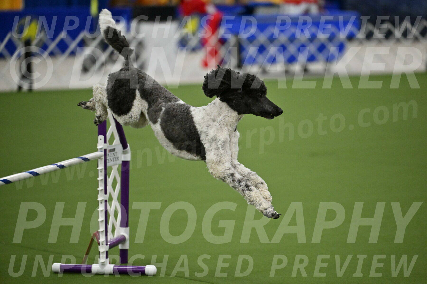 MAS-EX-JWW-24-Inch_3626