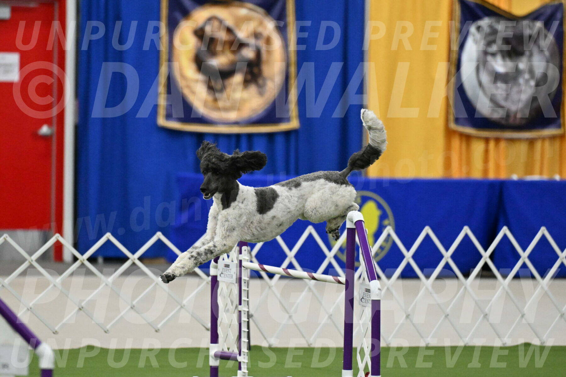 MAS-EX-JWW-24-Inch_3627