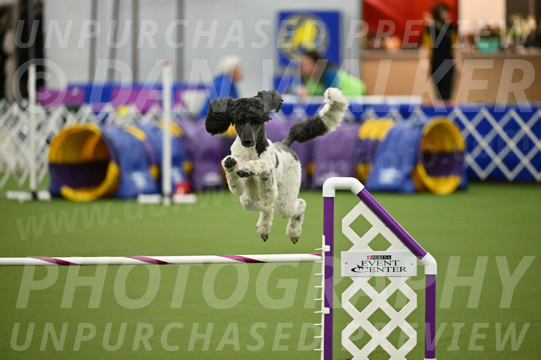 MAS-EX-JWW-24-Inch_3635